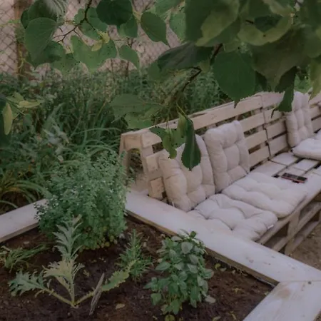 Zielonomi Bed & Breakfast *